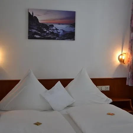 Hotel Pension Garni Hofgarten Hotel Bad Buchau